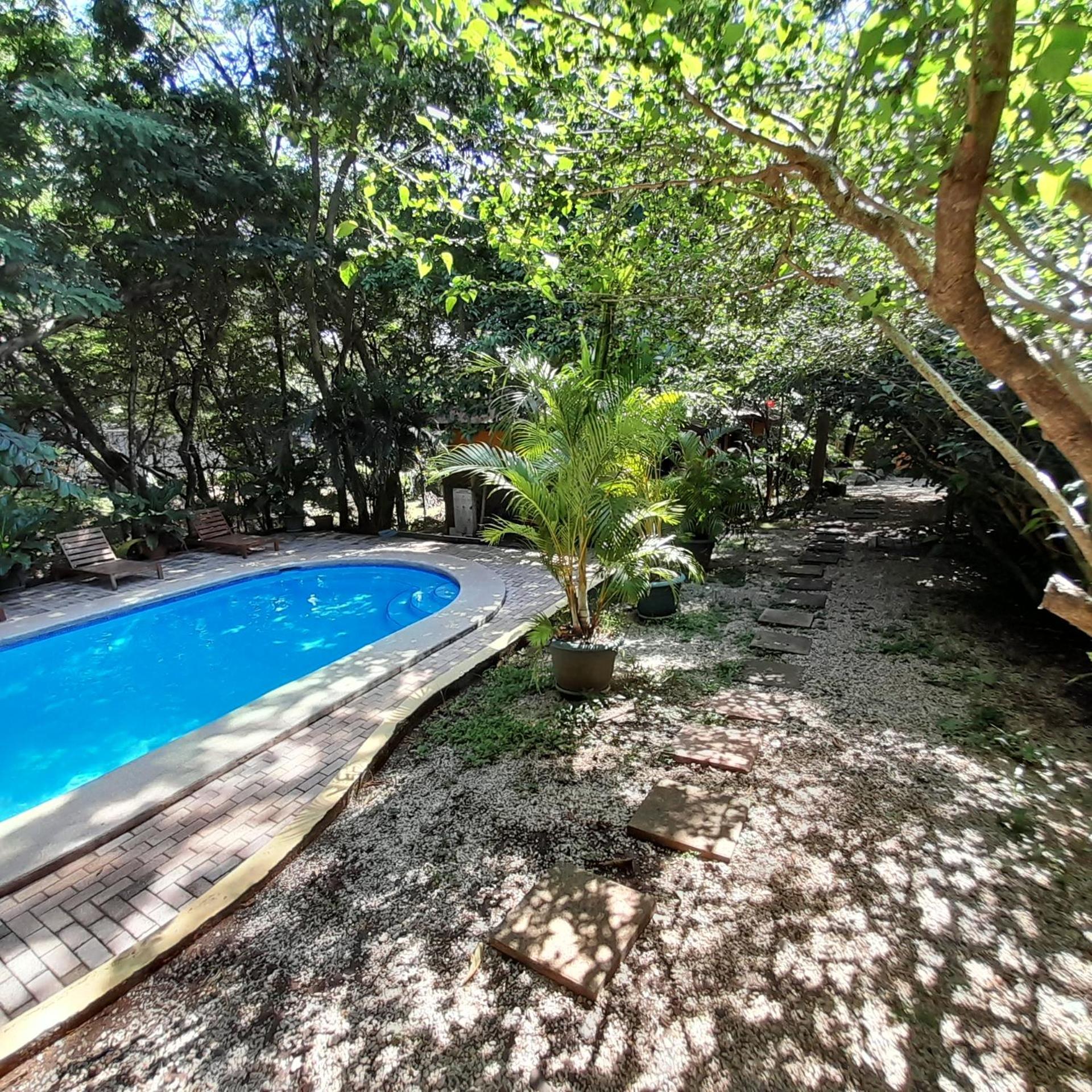 Hotel Cabinas La Playa Playa Avellana Eksteriør billede