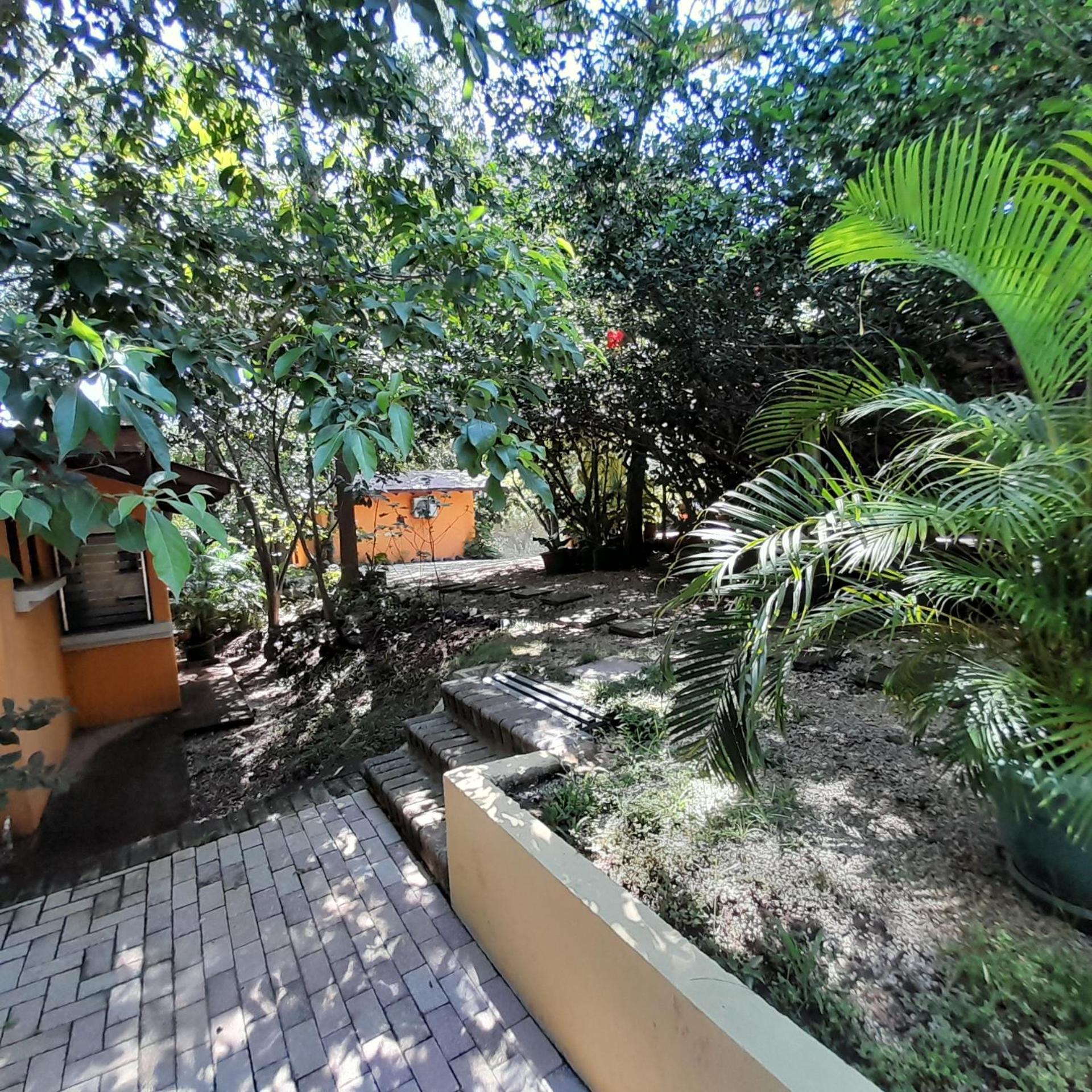 Hotel Cabinas La Playa Playa Avellana Eksteriør billede