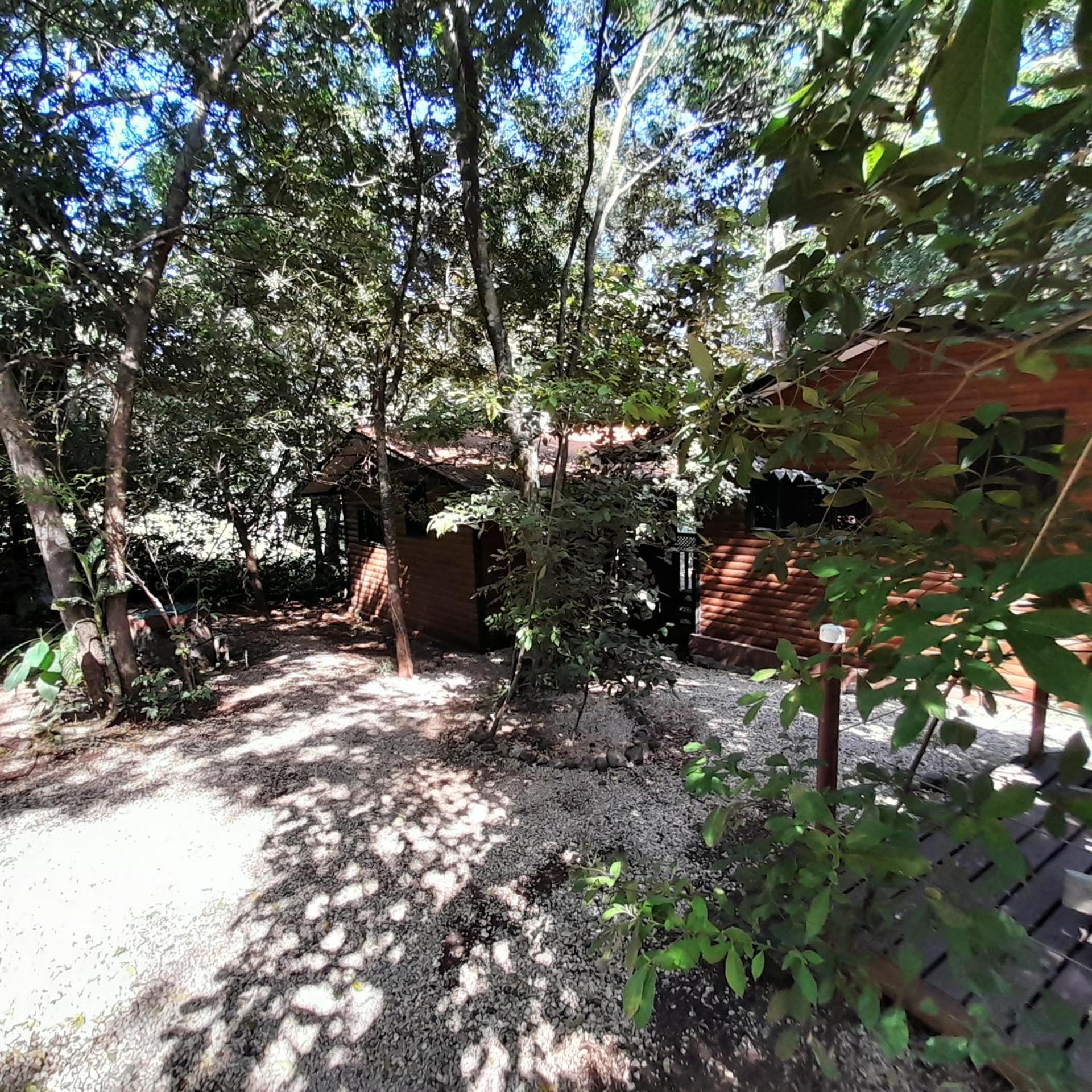 Hotel Cabinas La Playa Playa Avellana Eksteriør billede