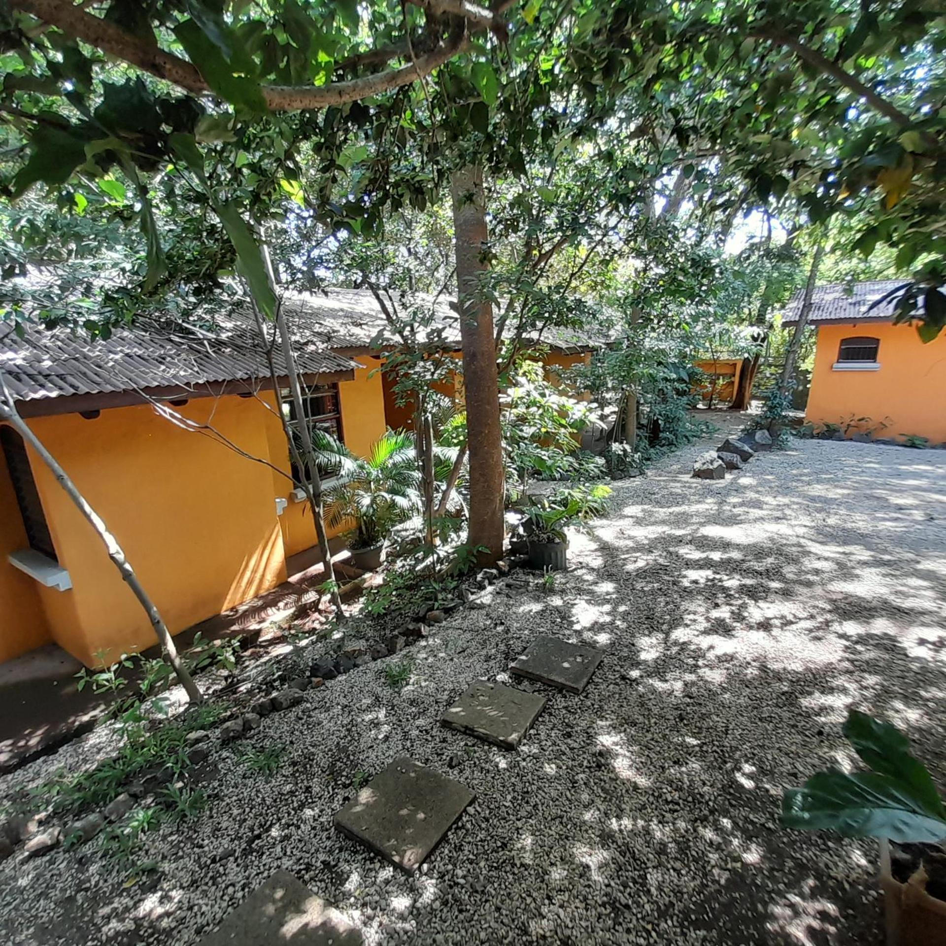 Hotel Cabinas La Playa Playa Avellana Eksteriør billede