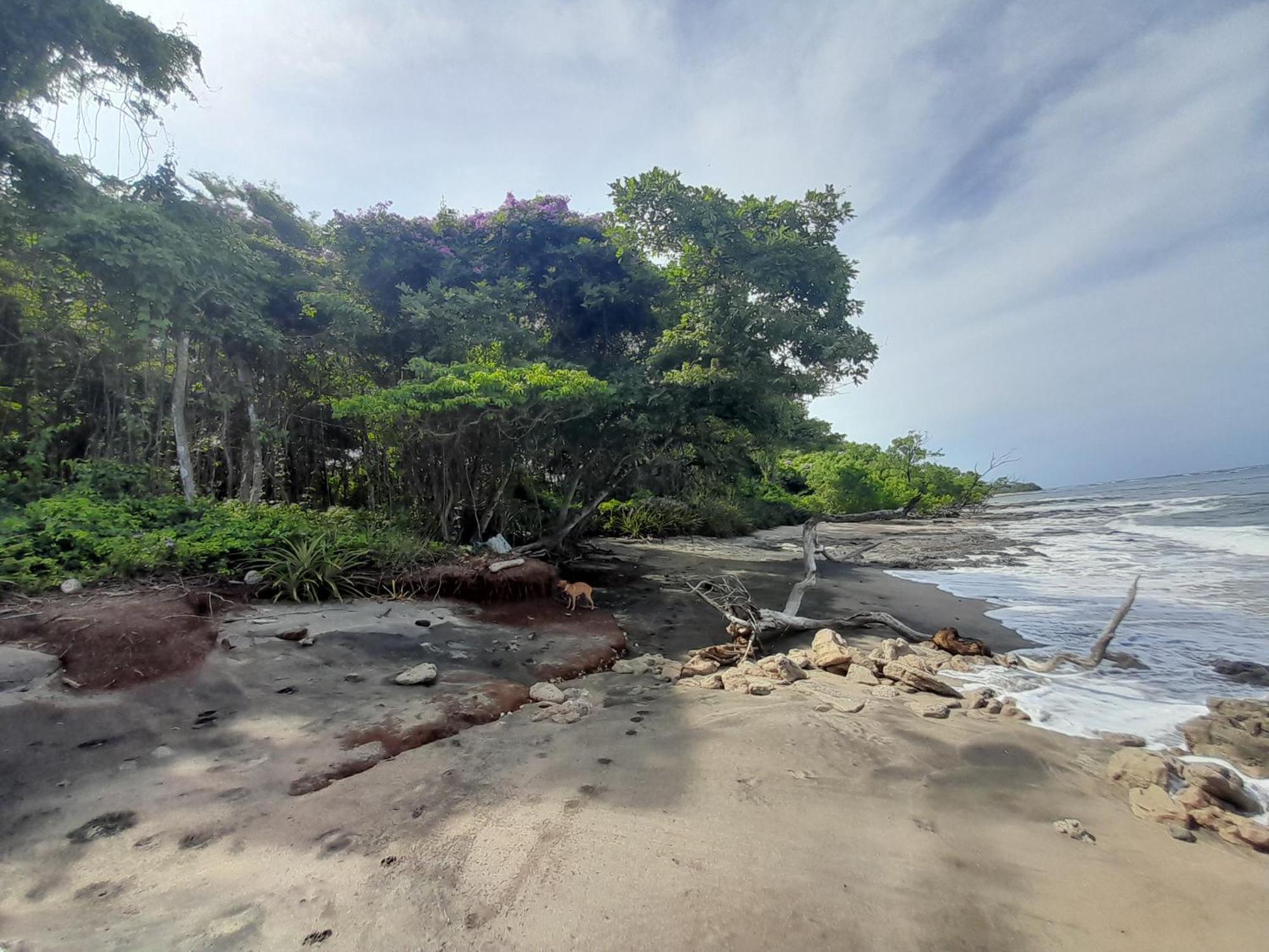 Hotel Cabinas La Playa Playa Avellana Eksteriør billede
